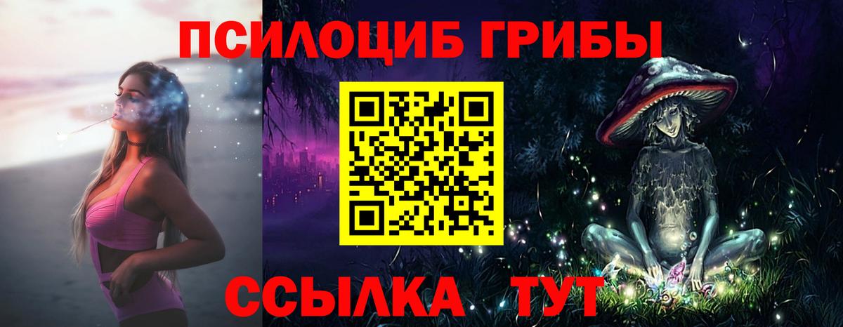 Псилоцибиновые грибы мицелий Луга
